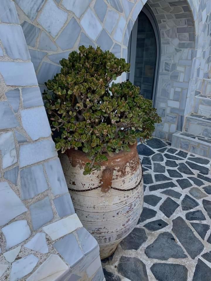 Πέτρινο Στη Θάλασσα Apartment Nafpaktos Exterior photo